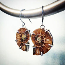 Load image into Gallery viewer, Ammonite Earrings