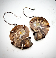 Load image into Gallery viewer, Ammonite Earrings