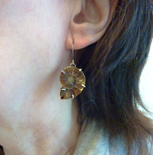Load image into Gallery viewer, Ammonite Earrings