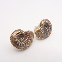 Load image into Gallery viewer, Ammonite Stud Earrings