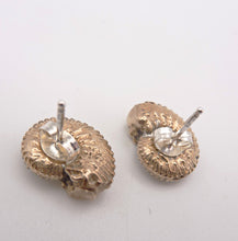 Load image into Gallery viewer, Ammonite Stud Earrings
