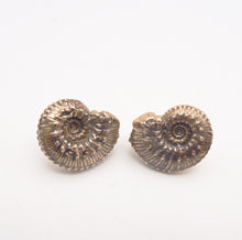 Load image into Gallery viewer, Ammonite Stud Earrings