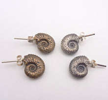 Load image into Gallery viewer, Ammonite Tentacle Stud Earrings