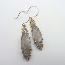 Load image into Gallery viewer, Fossil Coral Branch Earrings
