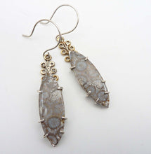Load image into Gallery viewer, Fossil Coral Branch Earrings