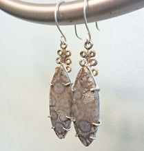 Load image into Gallery viewer, Fossil Coral Branch Earrings