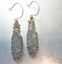 Load image into Gallery viewer, Fossil Coral Branch Earrings