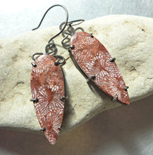 Load image into Gallery viewer, Fossil Coral Fan Earrings