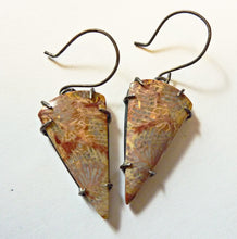 Load image into Gallery viewer, Fossil Coral Brushstroke Earrings