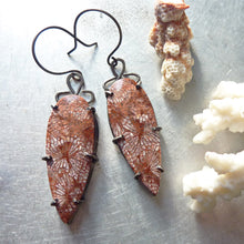 Load image into Gallery viewer, Fossil Coral Fan Earrings