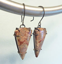 Load image into Gallery viewer, Fossil Coral Brushstroke Earrings