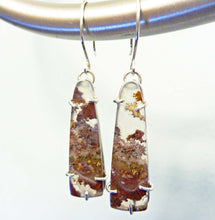 Load image into Gallery viewer, Lodolite Quartz Woodland Earrings