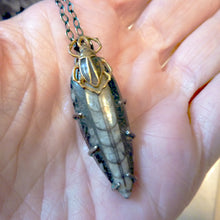Load image into Gallery viewer, Orthoceras Fossil and Scarab Pendant