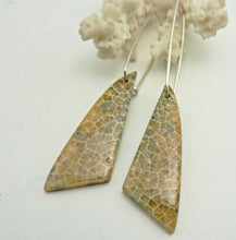 Load image into Gallery viewer, Fossil Coral Triangle Hoop Earrings