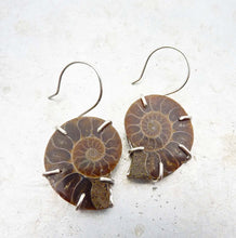 Load image into Gallery viewer, Ammonite Earrings