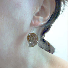 Load image into Gallery viewer, Ammonite Earrings