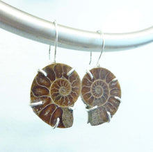 Load image into Gallery viewer, Ammonite Earrings