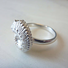 Load image into Gallery viewer, Ammonite Ring, Bronze or Sterling Silver
