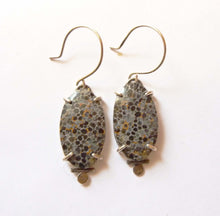 Load image into Gallery viewer, Black Fossil Coral Dot Earrings