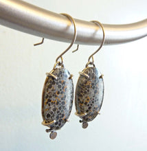 Load image into Gallery viewer, Black Fossil Coral Dot Earrings