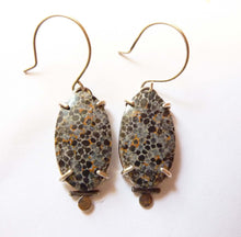 Load image into Gallery viewer, Black Fossil Coral Dot Earrings