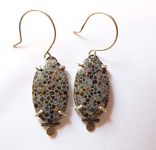 Load image into Gallery viewer, Black Fossil Coral Dot Earrings