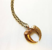 Load image into Gallery viewer, Double Coyote Claw Pendant Necklace, Bronze or Sterling Silver