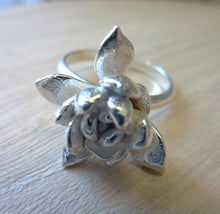 Load image into Gallery viewer, Desert Rose Ring
