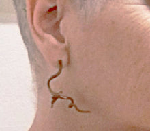 Load image into Gallery viewer, Grapevine Post Earrings, Bronze or Sterling Silver