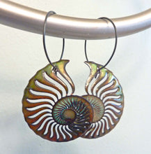 Load image into Gallery viewer, Ammonite Enamel Earrings

