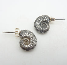 Load image into Gallery viewer, Ammonite Stud Earrings
