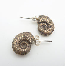 Load image into Gallery viewer, Ammonite Stud Earrings
