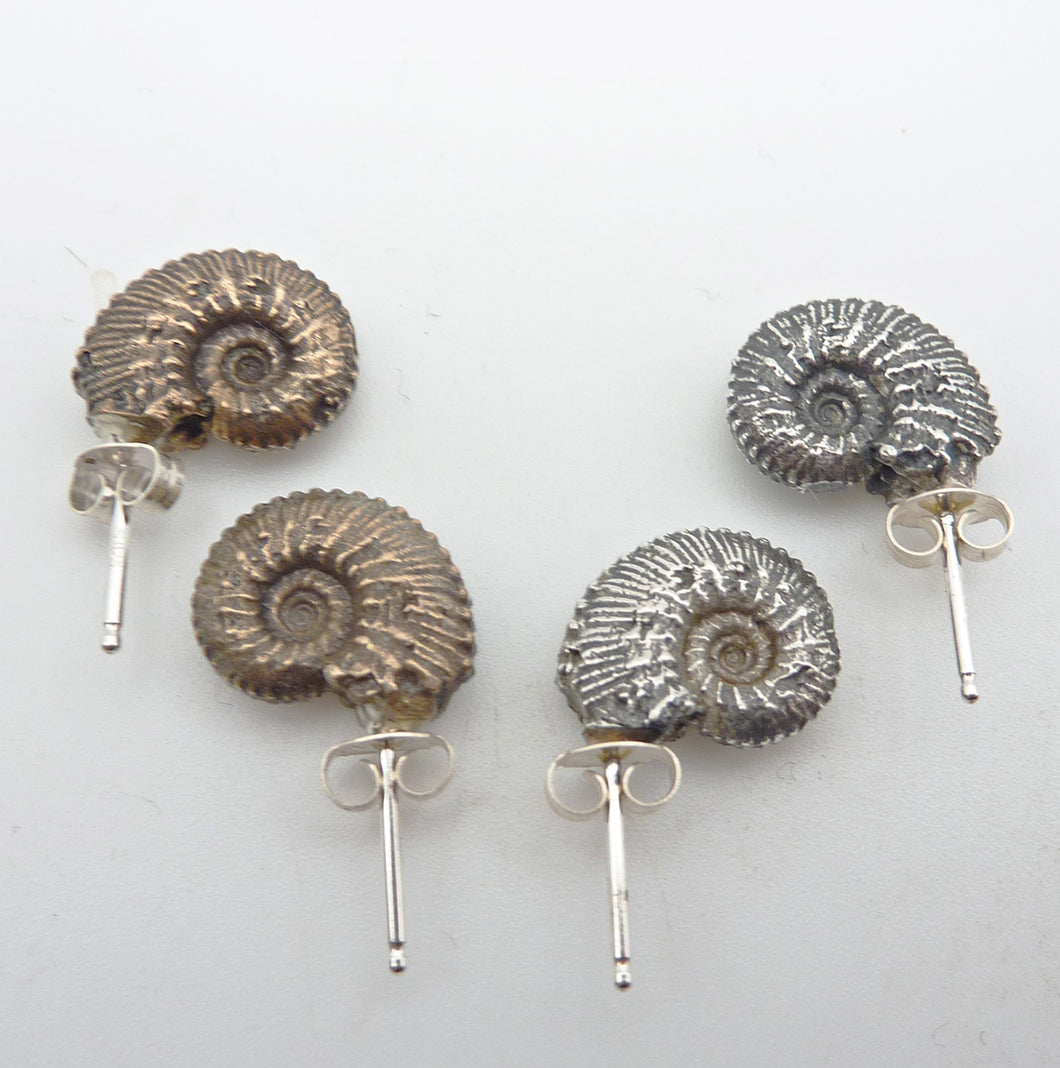 Ammonite Stud Earrings