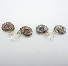 Load image into Gallery viewer, Ammonite Stud Earrings
