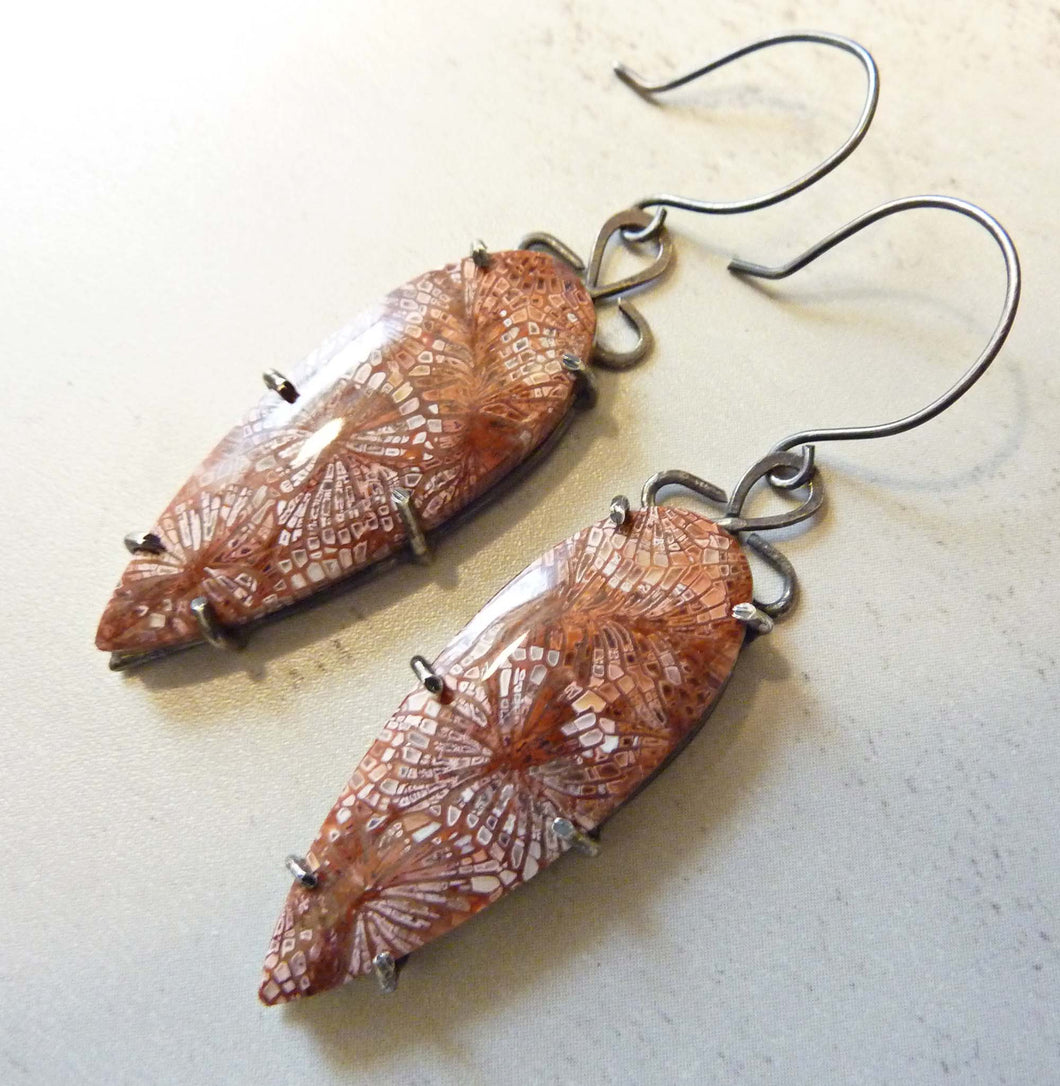 Fossil Coral Fan Earrings