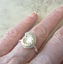 Load image into Gallery viewer, Ammonite Ring, Bronze or Sterling Silver
