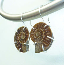 Load image into Gallery viewer, Ammonite Earrings
