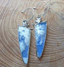 Load image into Gallery viewer, Bird on Branch Earrings, Plume Agate
