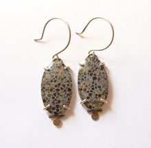 Load image into Gallery viewer, Black Fossil Coral Dot Earrings
