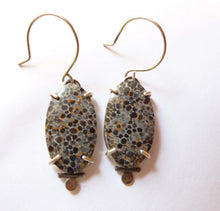 Load image into Gallery viewer, Black Fossil Coral Dot Earrings

